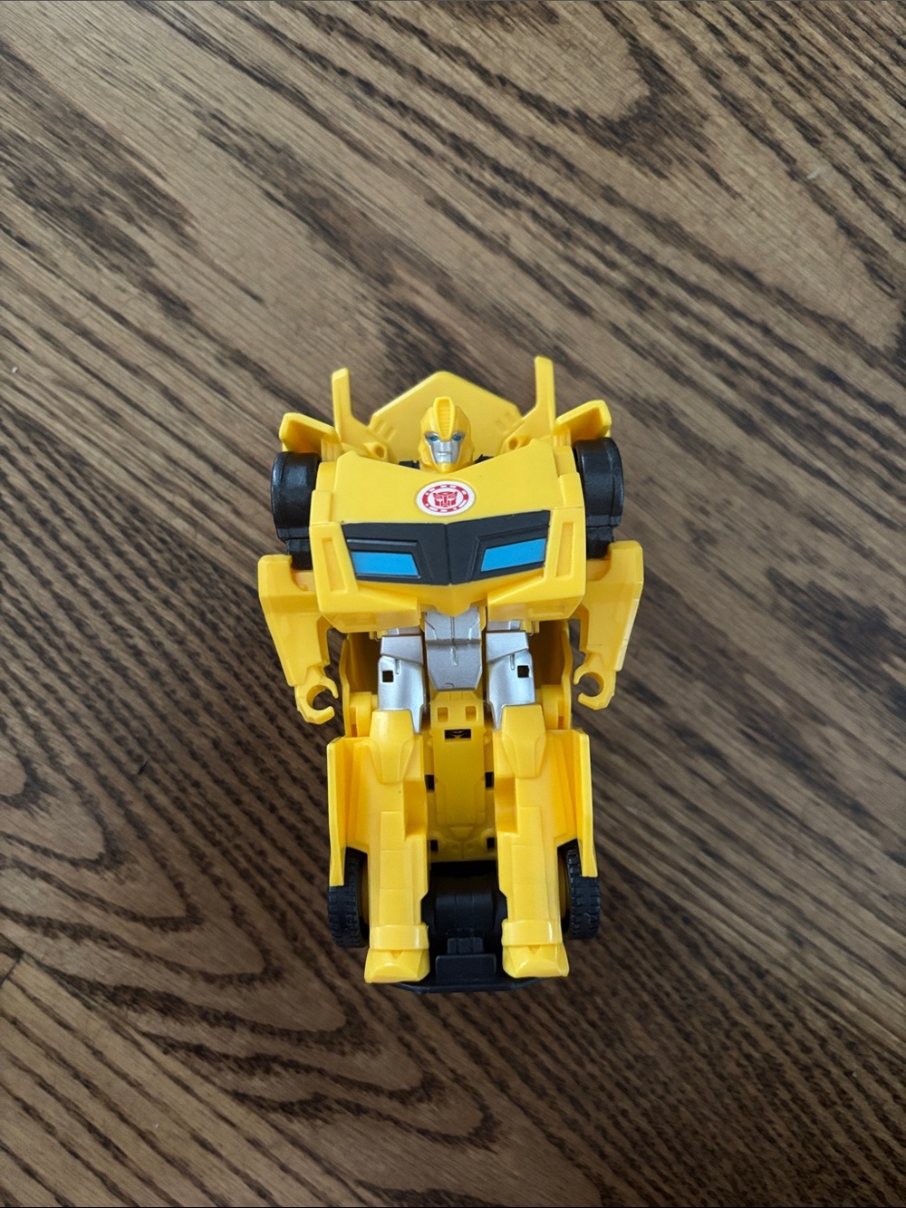 Bumblebee Transformer